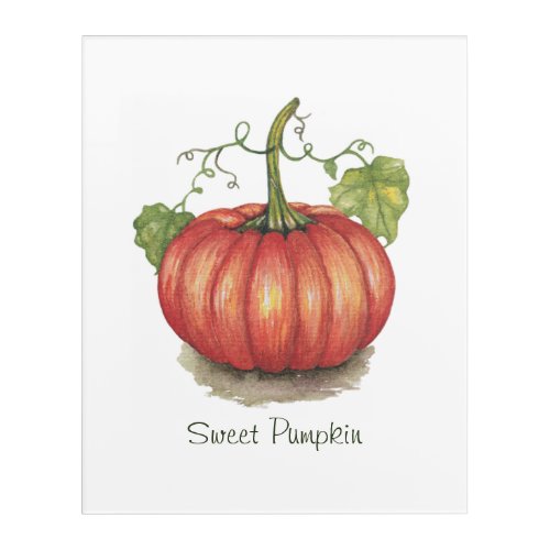 Cute Pumpkin With Vines In Watercolor Acrylic Print