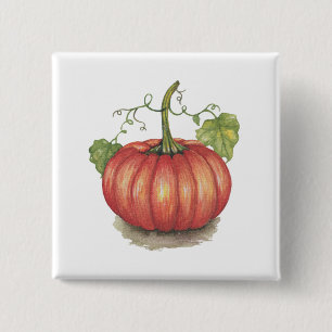 Cute Pumpkin With Vines In Watercolor Button
