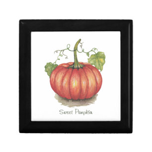 Cute Pumpkin With Vines In Watercolor Gift Box