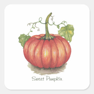 Cute Pumpkin With Vines In Watercolor Square Sticker