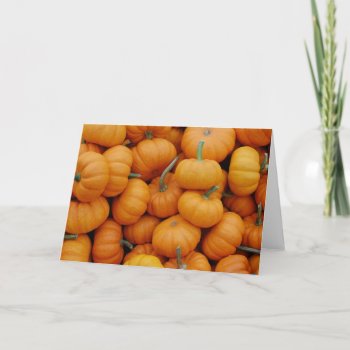 Cute Pumpkins Photo Greeting Card by CindyBeePhotography at Zazzle