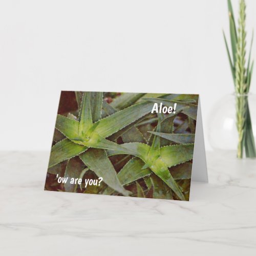 Cute Pun Cactus Aloe Hello Card