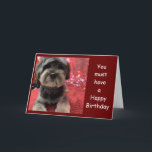 CUTE PUP ON ***FRIEND'S BIRTHDAY CARD**** CARD<br><div class="desc">Thank you so much for stopping by one of my eight stores!</div>