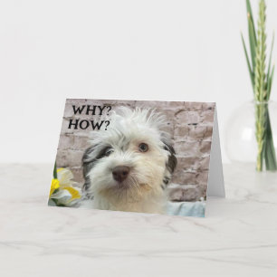 CUTE PUP WISHES A "HAPPY BIRTHDAY" CARD