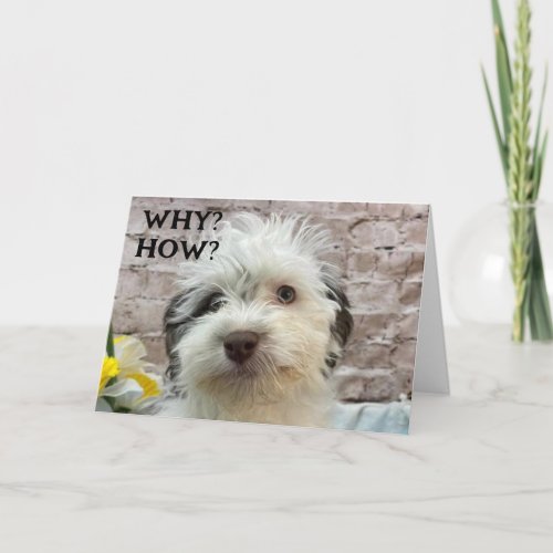 CUTE PUP WISHES A HAPPY BIRTHDAY CARD