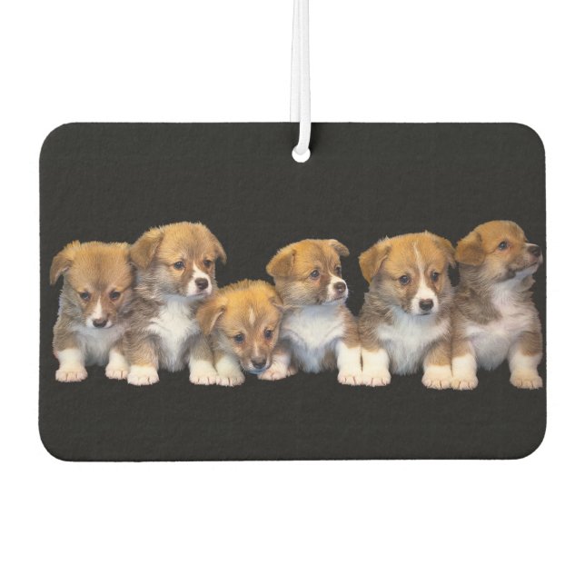 Cute Puppies Air Freshener (Front)