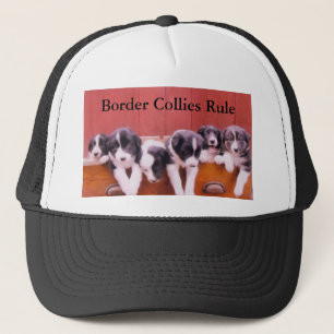 Cute Puppies Border Collies Rule Hat