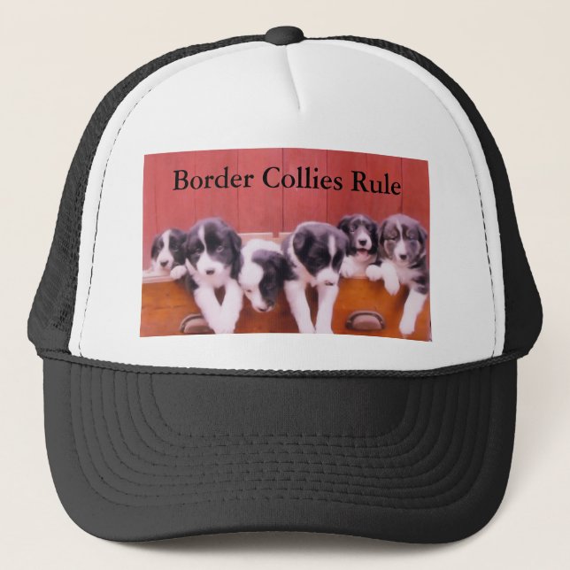 Cute Puppies Border Collies Rule Hat (Front)