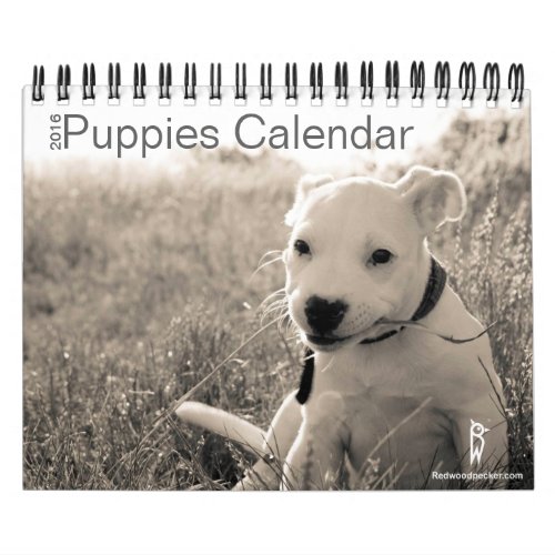 Cute Puppies Calendar 2016