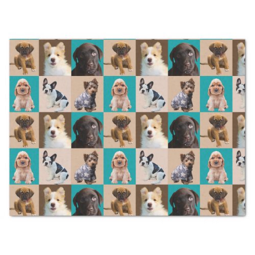 Cute Puppies Gift for Dog Lovers Animal Gift Tissue Paper