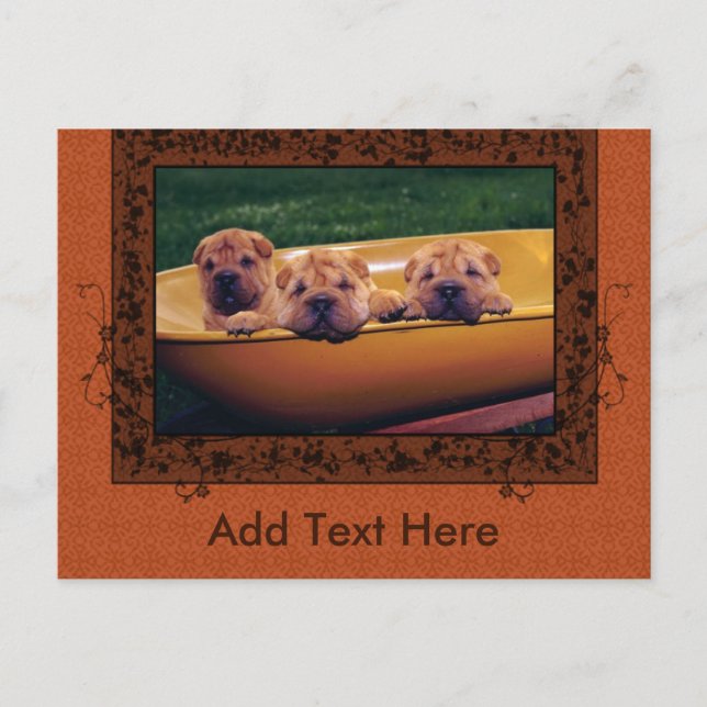 Cute Puppies Greetings Postcard (Front)