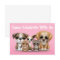 Cute Puppies, Kitten and Bunny Pet Portrait Pink