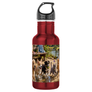 Cute Puppies & Kittens Riverside Adventure Stainless Steel Water Bottle