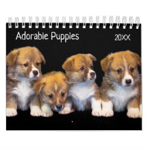 Cute Puppies Pet Photo Calendar