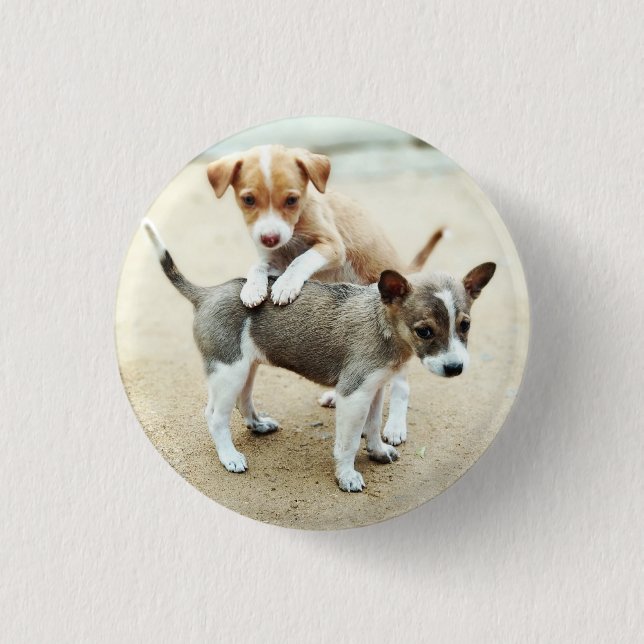 Cute Puppies Playing on Beach Button (Front)