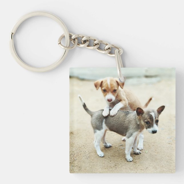 Cute Puppies Playing on Beach Keychain (Front)