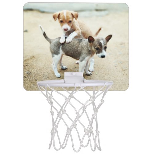 Cute Puppies Playing on Beach Mini Basketball Hoop