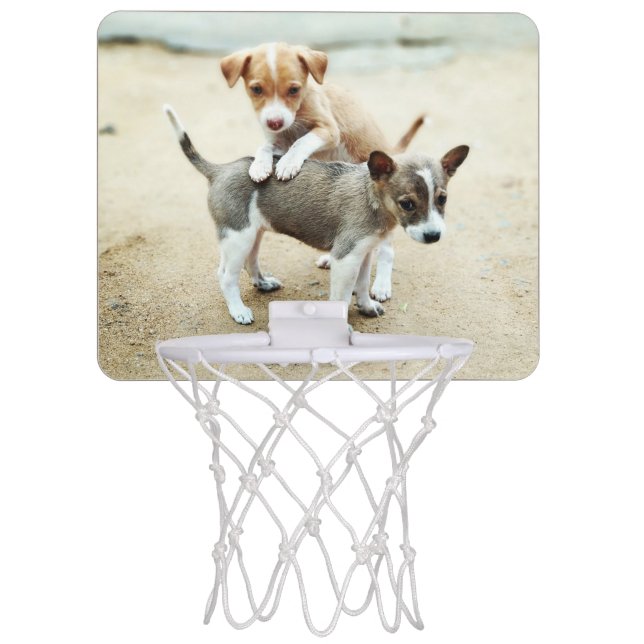 Cute Puppies Playing on Beach Mini Basketball Hoop (Front)