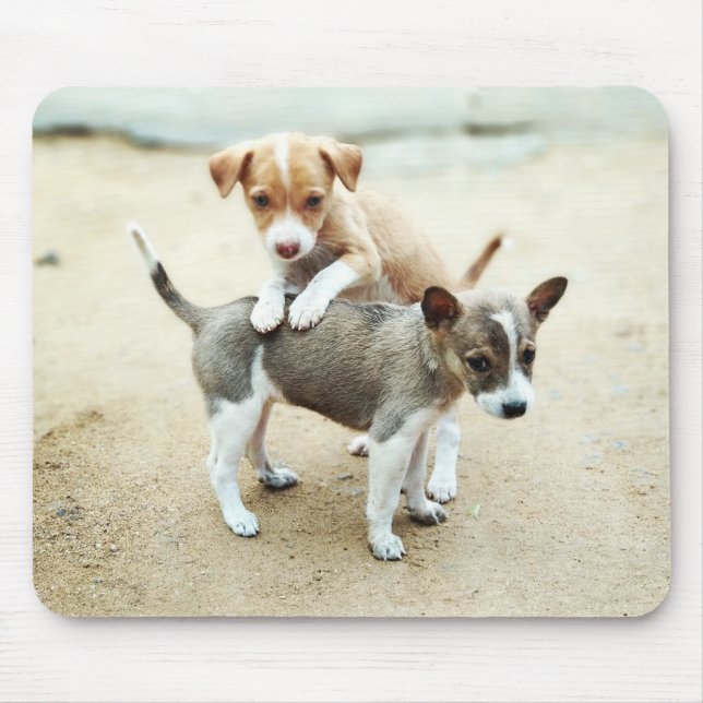 Cute Puppies Playing on Beach Mouse Pad (Front)