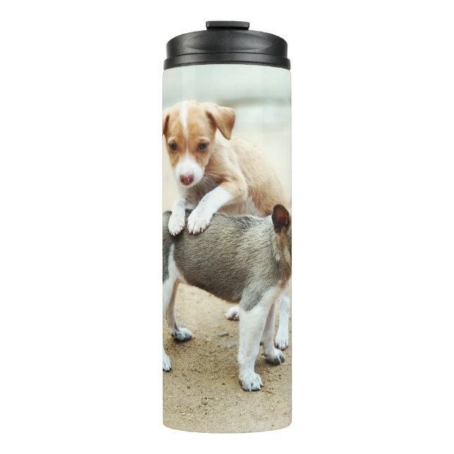 Cute Puppies Playing on Beach Thermal Tumbler (Front)