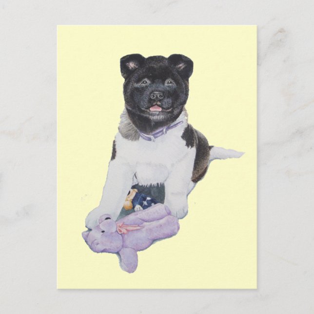 Cute puppy akita and teddy realist art postcard (Front)