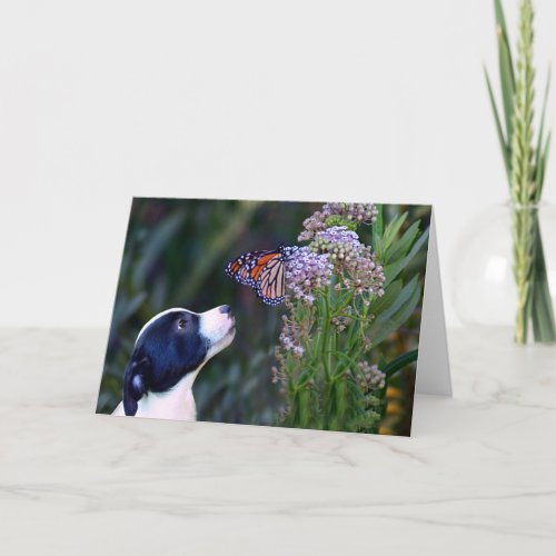 Cute Puppy and Butterfly Thank You Card
