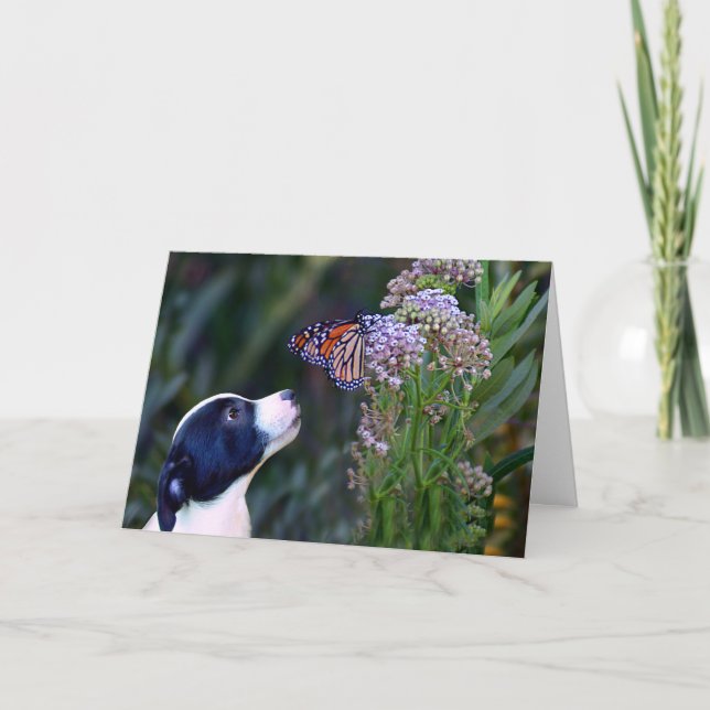 Cute Puppy and Butterfly Thank You Card (Front)
