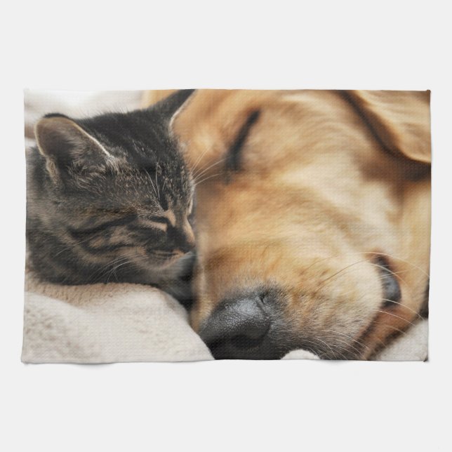 Cute Puppy and Kitten Kitchen Towel (Horizontal)