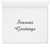 Cute Puppy And Kitten Sleep In A Santa Hat (Inside Horizontal (Bottom))