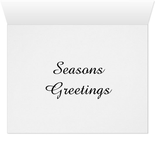 Cute Puppy And Kitten Sleep In A Santa Hat (Inside Horizontal (Bottom))