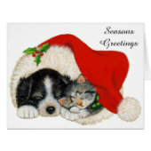 Cute Puppy And Kitten Sleep In A Santa Hat (Front Horizontal)