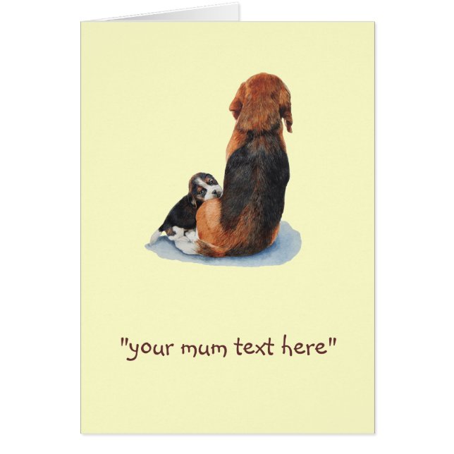 Cute puppy beagle cuddling mum dog cards (Front)