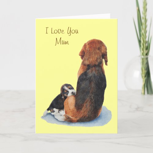 Cute puppy beagle with mum dog card