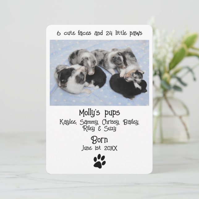 Cute Puppy Birth Announcement Card (Standing Front)
