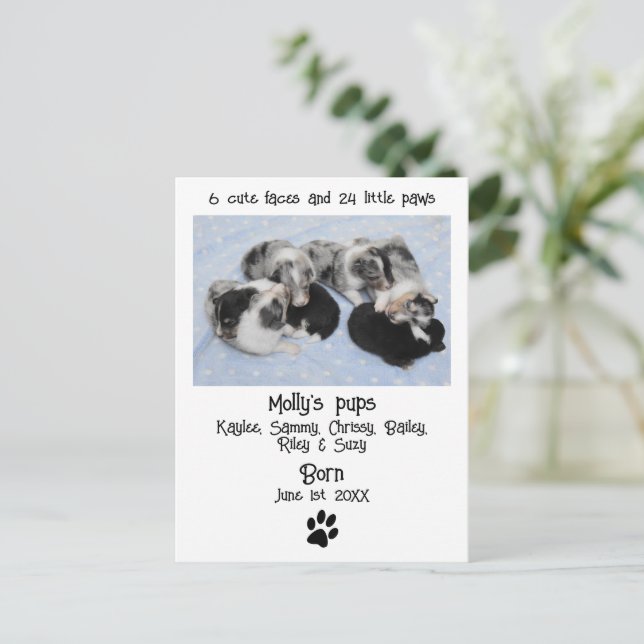Cute Puppy Birth Announcement Postcard (Standing Front)