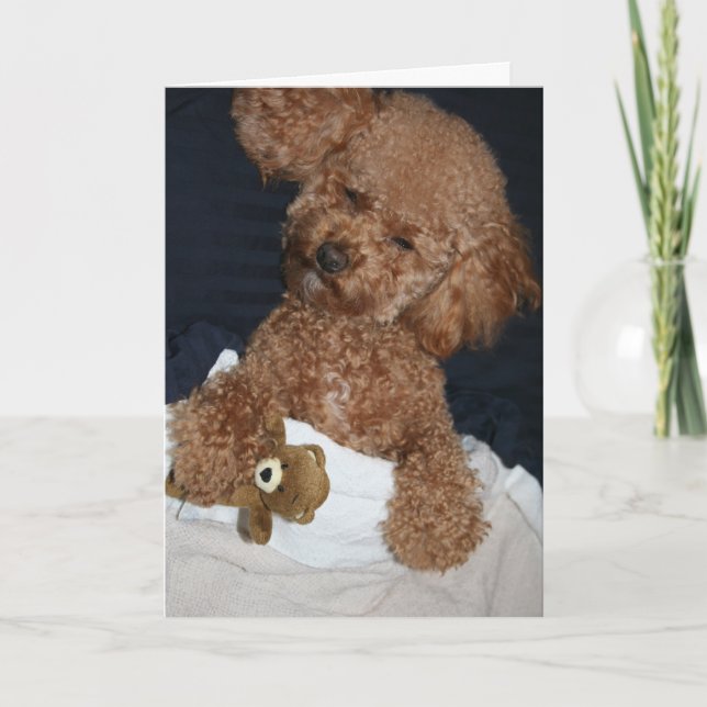 Cute Puppy Birthday Card (Front)