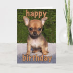 Cute Puppy Birthday Card