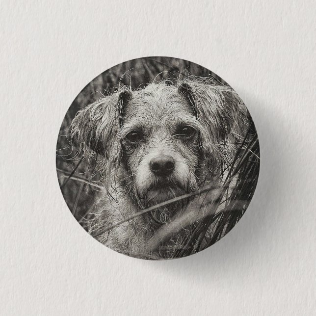 Cute Puppy Black and Whie Portrait Photograph Button (Front)