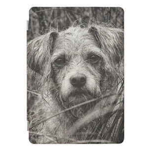 Cute Puppy Black and Whie Portrait Photograph iPad Pro Cover