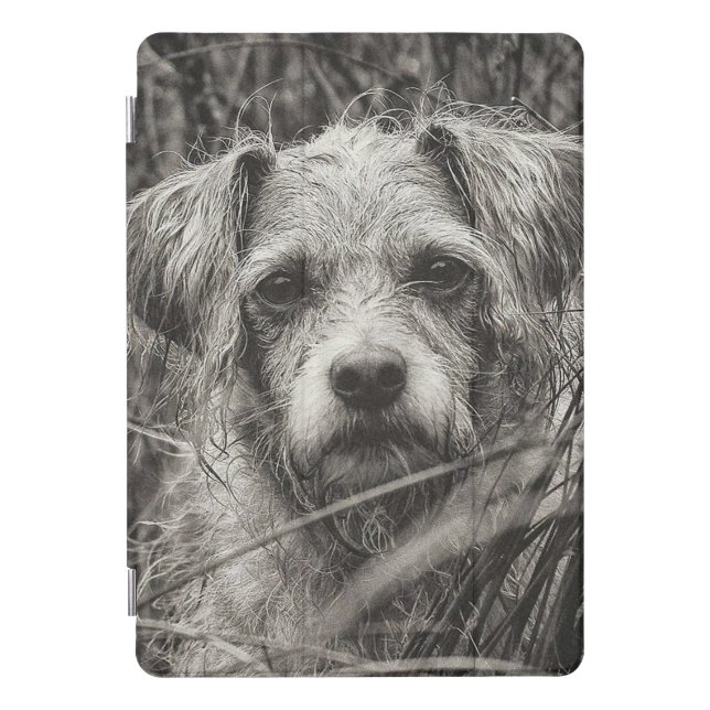 Cute Puppy Black and Whie Portrait Photograph iPad Pro Cover (Front)