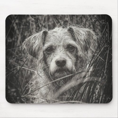 Cute Puppy Black and Whie Portrait Photograph Mouse Pad
