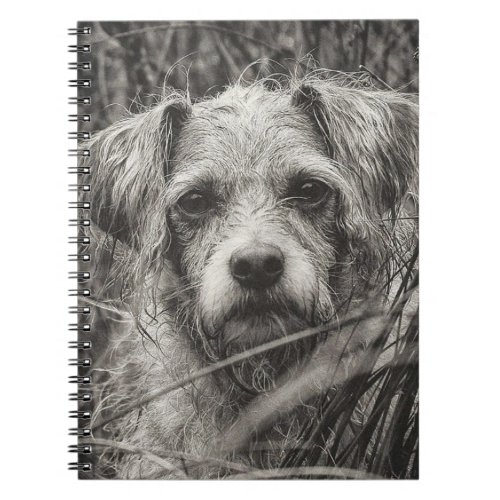 Cute Puppy Black and Whie Portrait Photograph Notebook