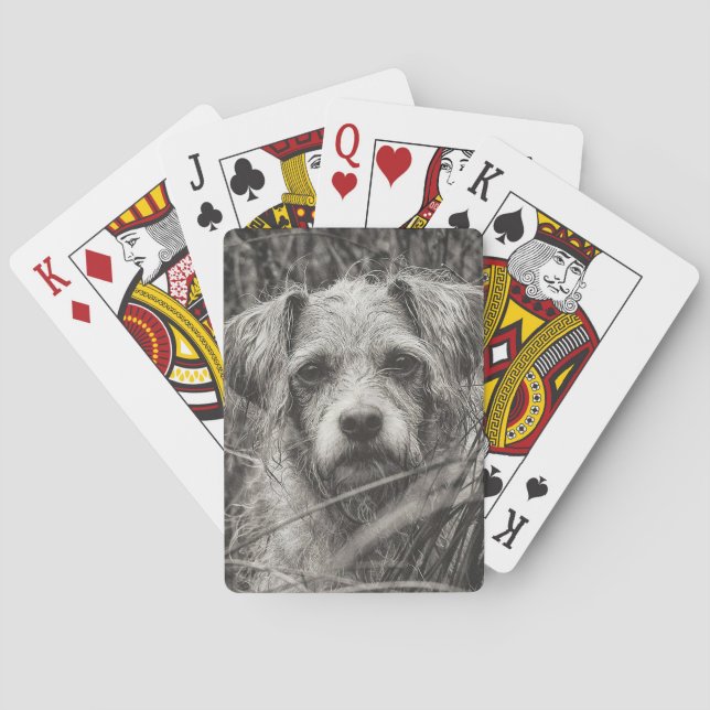 Cute Puppy Black and Whie Portrait Photograph Poker Cards (Back)