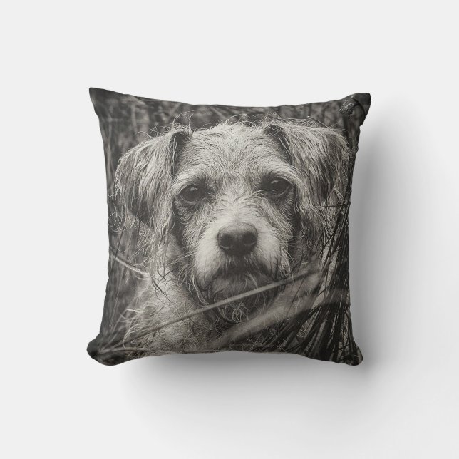 Cute Puppy Black and Whie Portrait Photograph Throw Pillow (Front)