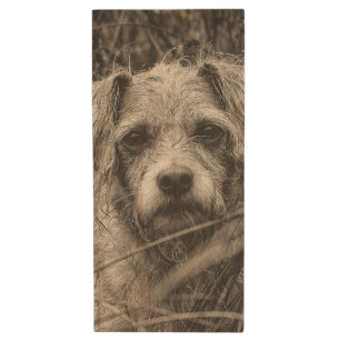Cute Puppy Black and Whie Portrait Photograph Wood Flash Drive