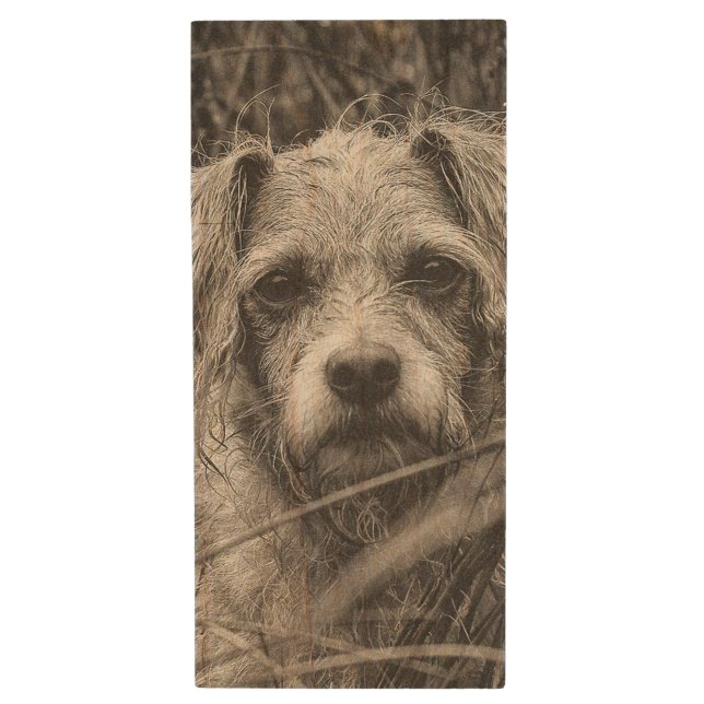 Cute Puppy Black and Whie Portrait Photograph Wood Flash Drive (Front Vertical)