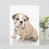 Cute Puppy Bulldog Sad (Standing Front)