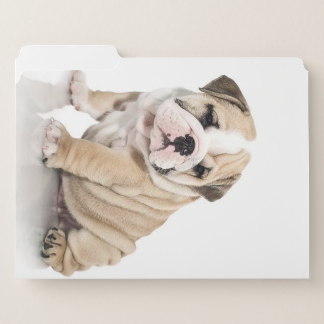 Cute Puppy Bulldog Sad File Folder (Front Left)