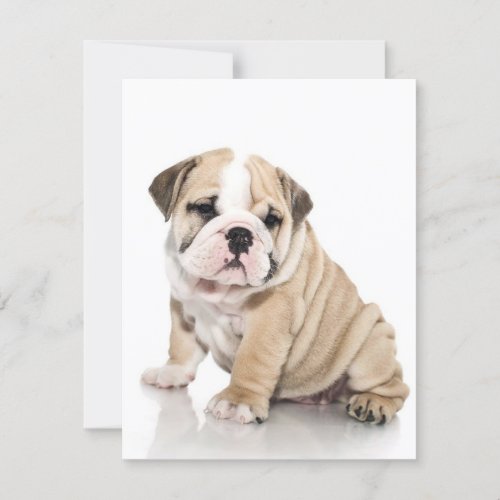 Cute Puppy Bulldog Sad Invitation