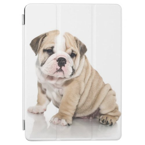 Cute Puppy Bulldog Sad iPad Air Cover